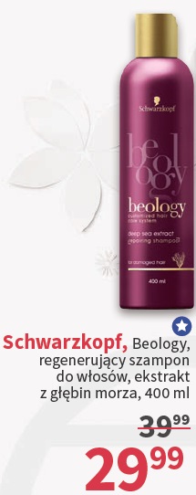 schwarzkopf beology regenerujący szampon do włosów